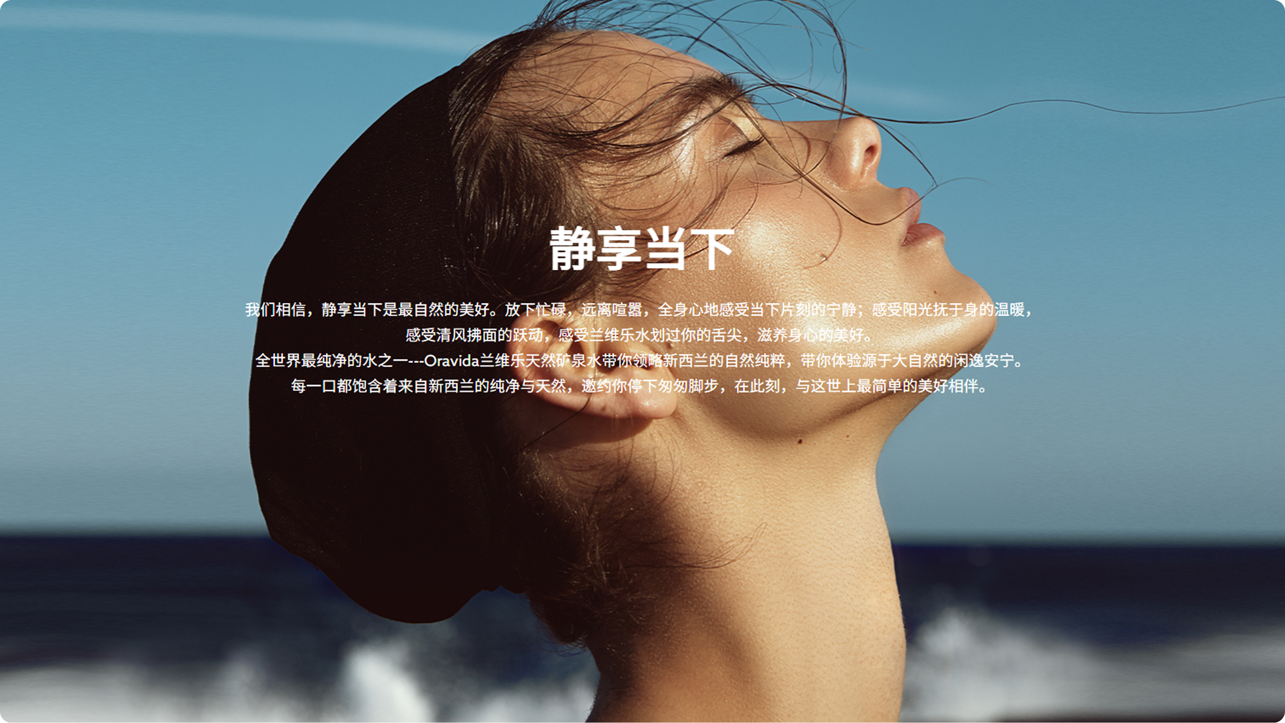 兰维乐食品网站(图4)